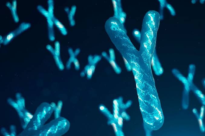 Men’s Y-Chromosome is IN PERIL